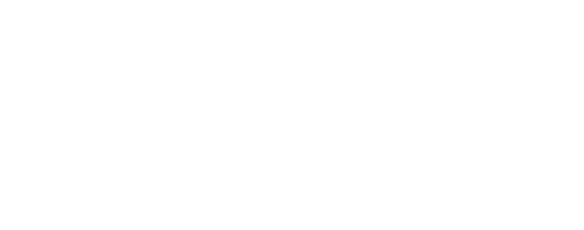 bali-connect-logo