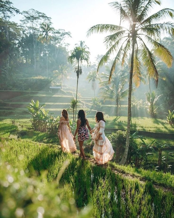 Bali Connect- Bali Connect